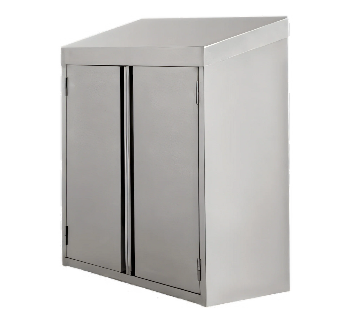 Klinger's Trading WC1560-HINGED 60-Inch Stainless Steel Wall-Mounted Storage Cabinet with 2 Hinged Doors